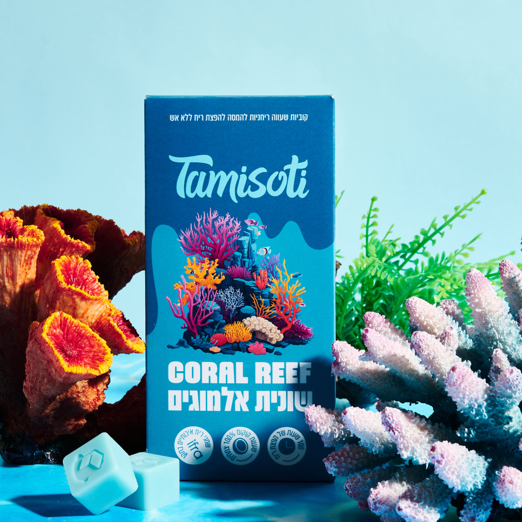 שונית אלמוגים