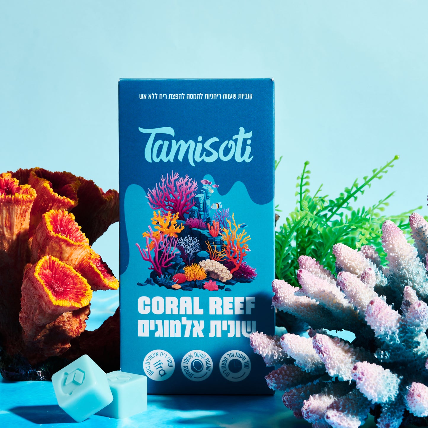שונית אלמוגים